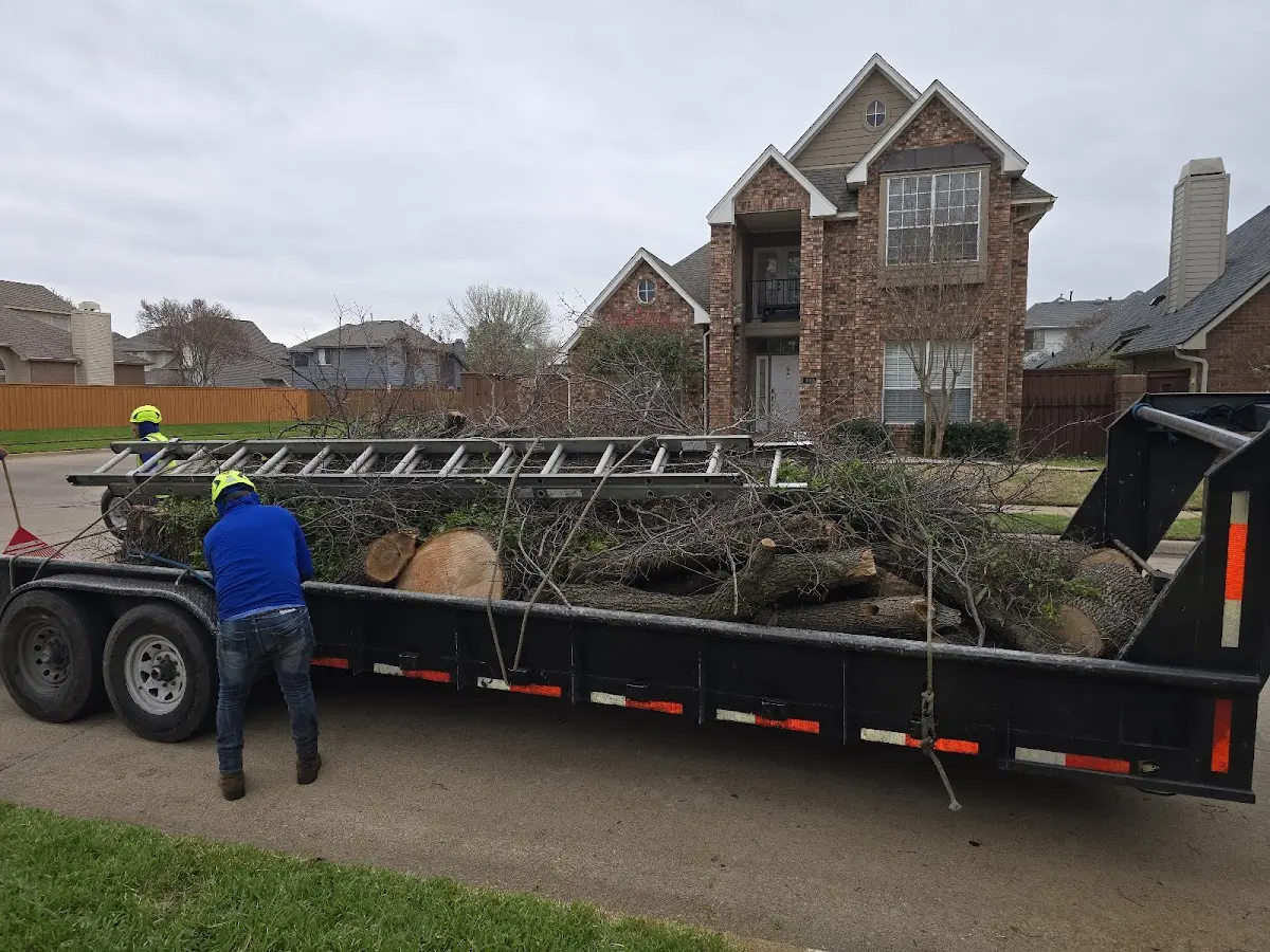 Expert Tree Pest Control with proper safety equipment in Foster